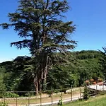 Domaine De Label, Spa, Massages La Salvetat-sur-Agout