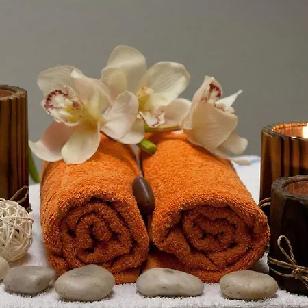 Feriehus Domaine De Label, Spa, Massages La Salvetat-sur-Agout