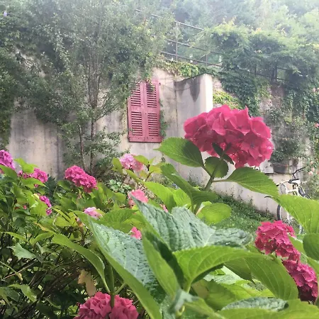 Domaine De Label, Spa, Massages * La Salvetat-sur-Agout