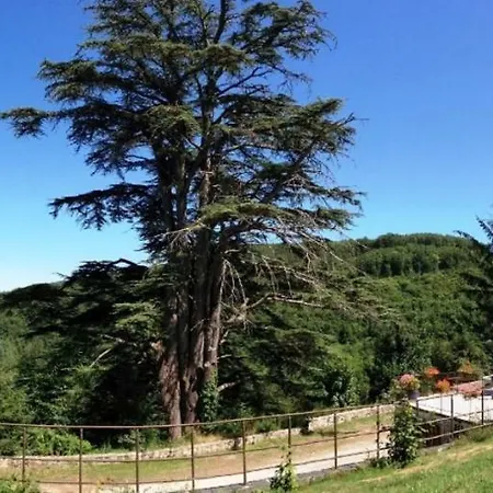 Domaine De Label, Spa, Massages La Salvetat-sur-Agout