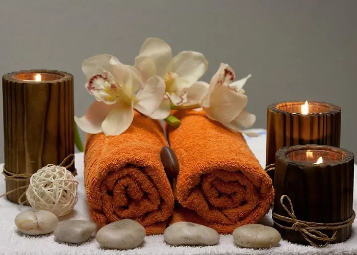 Prázdninový dům Domaine De Label, Spa, Massages La Salvetat-sur-Agout