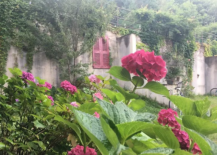 Domaine De Label, Spa, Massages * La Salvetat-sur-Agout