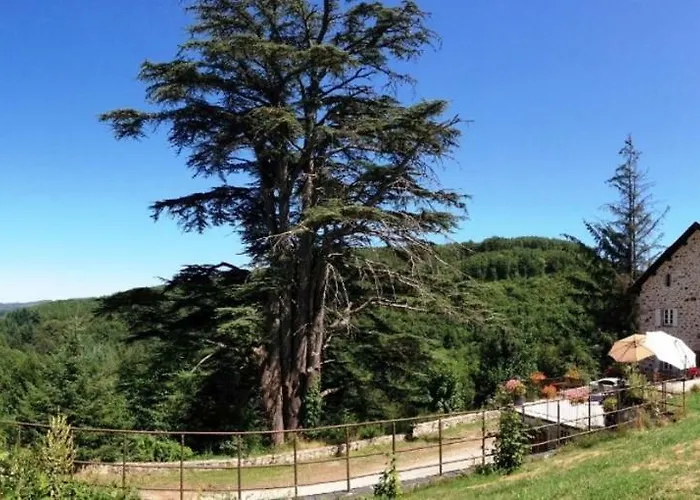 Domaine De Label, Spa, Massages La Salvetat-sur-Agout